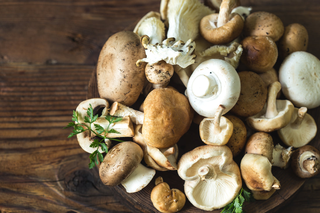Pilz Immun Renew, eine Mischung aus Pilzen und Rucola - ein natürlicher Weg, um die Immunität im Herbst und Winter zu stärken