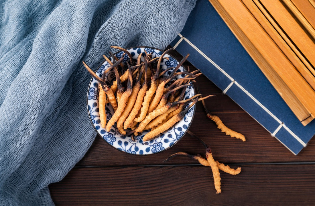 Was ist Cordyceps ? Lernen Sie die Eigenschaften des chinesischen Pilzes kennen