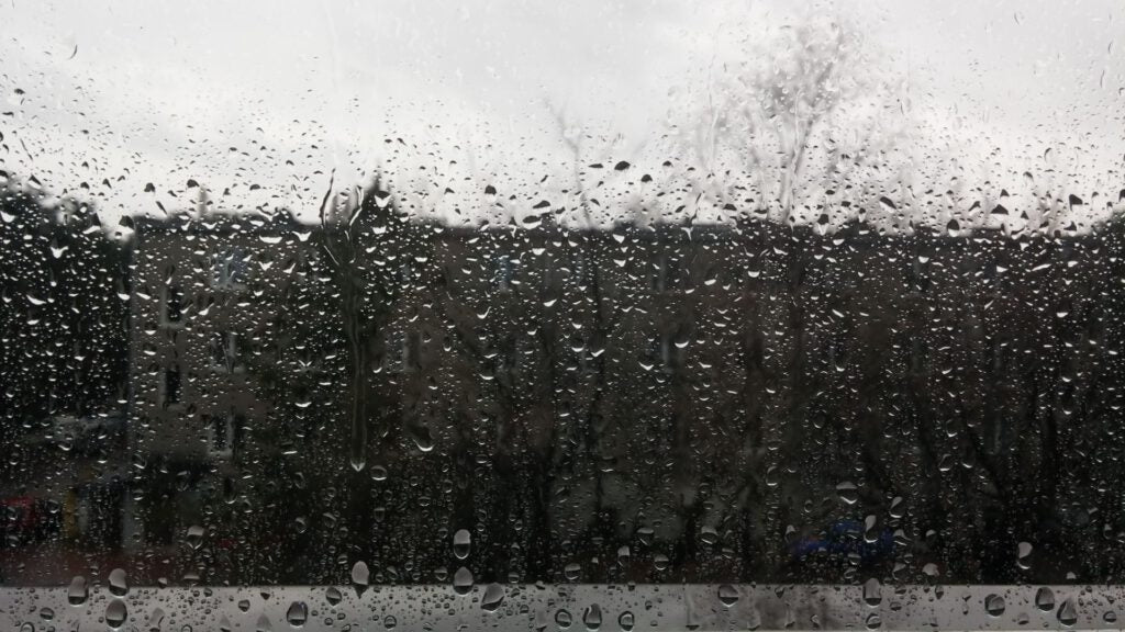 Ist saisonale Depression ein Mythos? Wie wirkt sich der Mangel an Sonne auf unseren Körper aus?