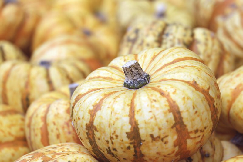 Welches saisonale Gemüse und Obst sollten wir im Herbst essen?