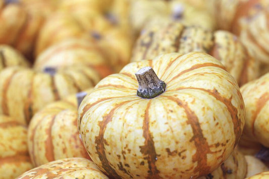 Welches saisonale Gemüse und Obst sollten wir im Herbst essen?