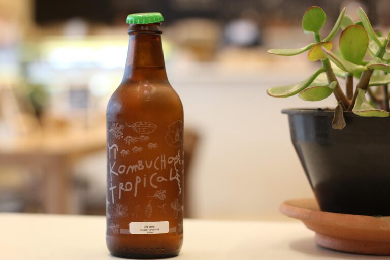 Kombucha – die Eigenschaften des Langlebigkeitselixiers aus Asien