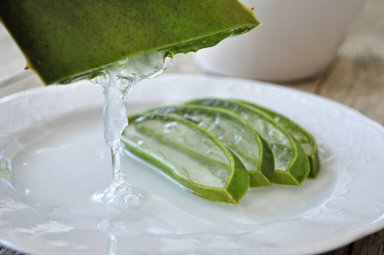 Aloe-Saft – Eigenschaften