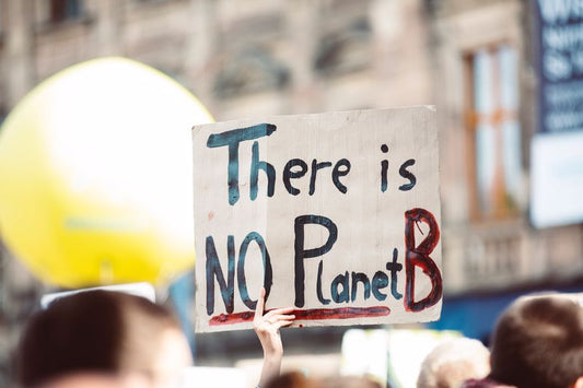Wie man dem Planeten mit einer Diät helfen kann, oder kurz über die planetarische Ernährung