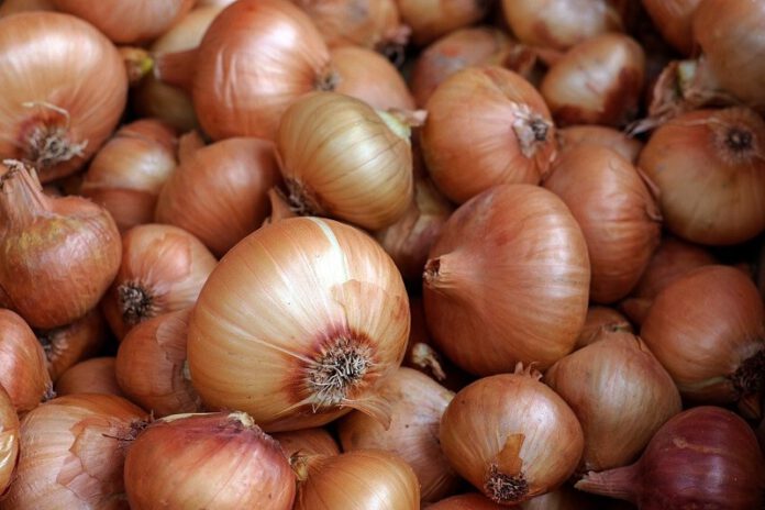 Es ist Herbst und es lohnt sich, den Körper der Kinder zu stärken – wir testen die Wirksamkeit von Zwiebelsirup