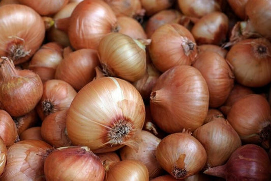 Es ist Herbst und es lohnt sich, den Körper der Kinder zu stärken – wir testen die Wirksamkeit von Zwiebelsirup