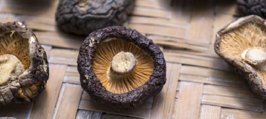 Sie Shiitake kennen – sehen Sie sich 6 Argumente an, die Sie von diesen exotischen Pilzen überzeugen werden