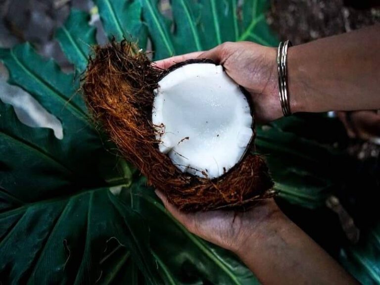 Superfoods , die sich als nicht so toll herausstellten