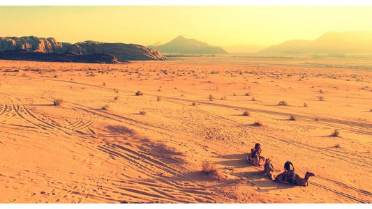 Teufelskralle (Teufels Klaue) - Eigenschaften einer Pflanze aus Südafrika
