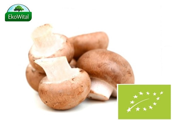 fbce1cc4193e85020b21f10061eea6c4