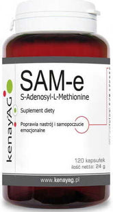 SAM - E s - Adenosyl - L - Methionin 120 KENAY-Kapseln