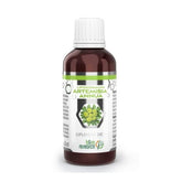 Artemisia annua liposomal 50 ml B&M - Biogo.de