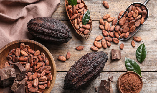 Wie verwendet man Kakaofaser jeden Tag?