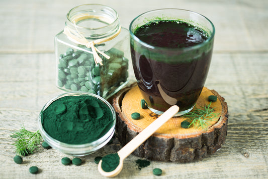 Spirulina - welche Art sind Eigenschaften die Gesundheit Grün blau Algen