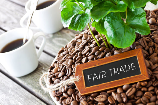 Fairer Handel – warum lohnt es sich, ein Produkt mit einem solchen Label zu wählen?