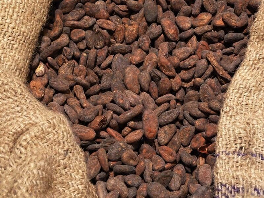 Was ist die „Speise der Götter“? Wir prüfen die Eigenschaften von Kakaobohnen
