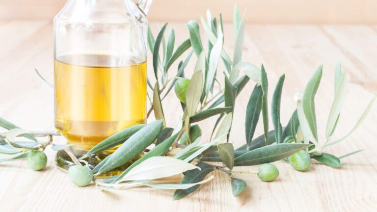 Olivenblätter – Eigenschaften und Verwendung von Olivenblättern
