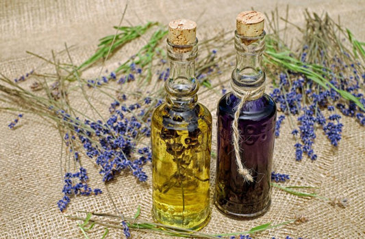 Arten von ätherischen Ölen – welche Wirkung ätherische Öle auf unsere Gesundheit haben