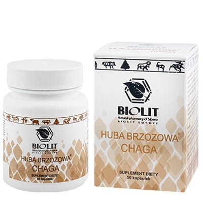 Biolite Birkenhorn Chaga 50k Antioxidans, getrocknete Chaga-Pilzstücke, natürliche Heilpflanze, antioxidative Wirkung, BIOLIT.