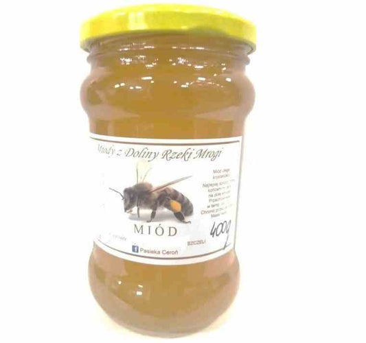 Glas mit 400 g Buchweizenhonig von CEROŃ, dunkler Honig in einem Glas mit Honiglöffel, Nahaufnahme