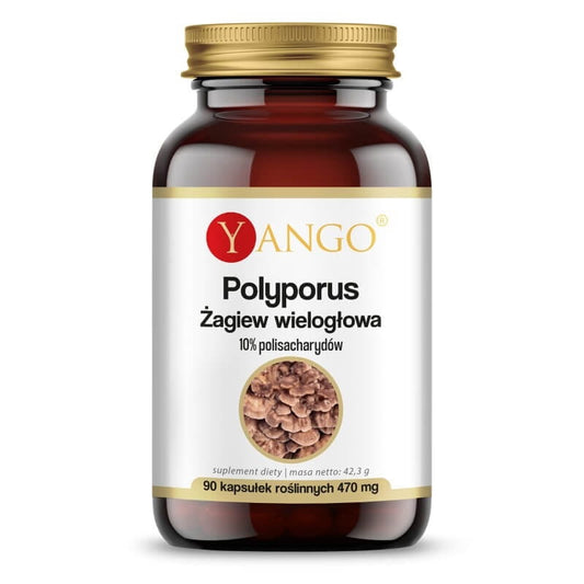 YANGO Polyporus Kapseln mit 10% Polysacchariden, 90 Stück, Verpackung mit weißen Kapseln und Produktbeschreibung auf der Packung