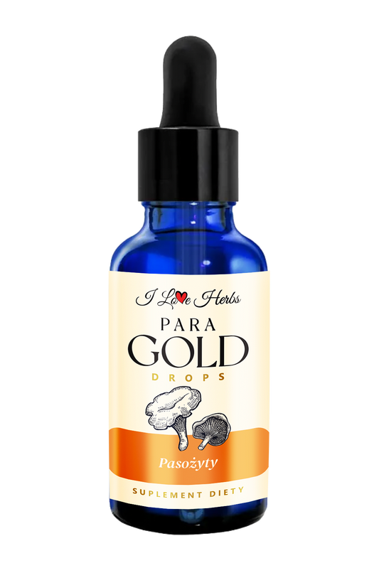 084a795b33e3a8971ed6c0b55b1dd5d5