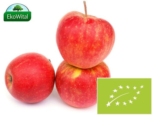 5c43fd6f9d33fe7a990ba34d9eb7b49b