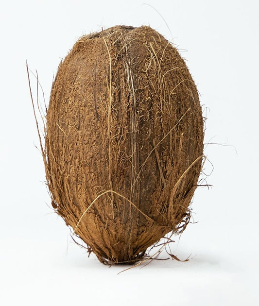 Reife BIO Kokosnuss von GENUINE COCONUT, ca. 0,3 kg, mit brauner Schale und frischem Kokosnuss-Innenleben.