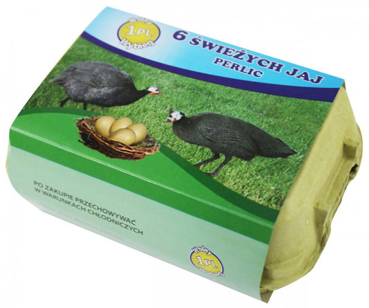 Bio Perlhühnereier, 6 Stück, von JAJA, frische und hochwertige Bio PLANET Eier auf einem Korb liegen.