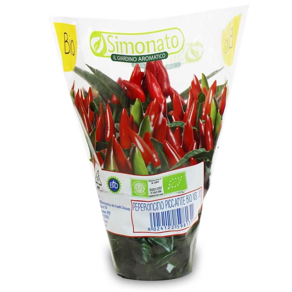 Frische Chilischote im BIO-Topf (1 Stück)