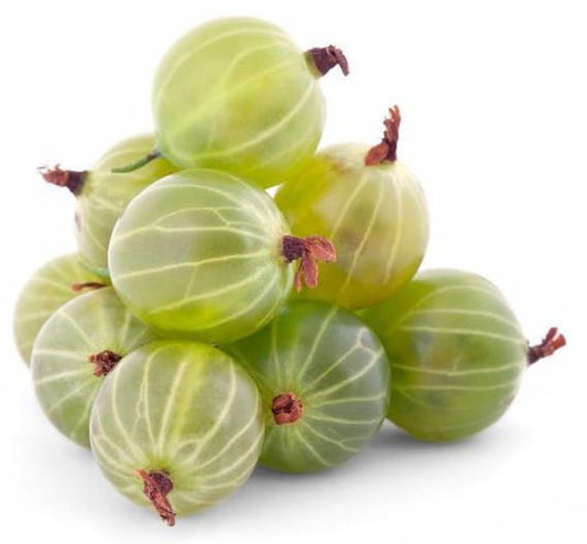 Große Packung frische BIO PLANET Stachelbeeren, polnisch, ca. 4 kg, saftig und aromatisch, ideal für Desserts und Snacks