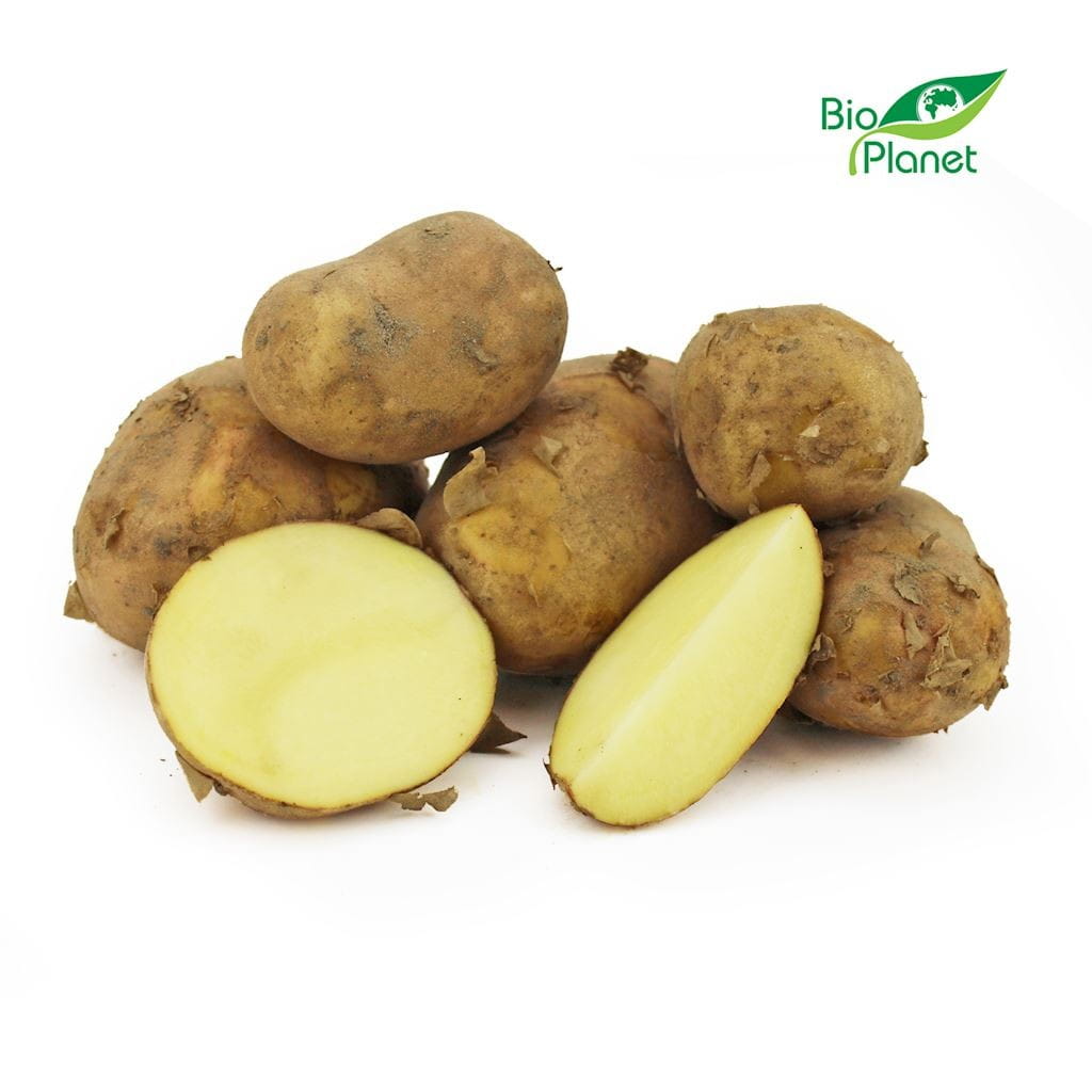 Großpackung (kg) - junge weiße Kartoffeln, frisch BIO (polnisch) (ca. 10 kg)