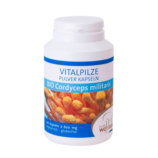 Bio Cordyceps militaris Pilze in 100 Kapseln, 500 mg, von PILZE WOHLRAB, zeigt die Kapseln auf weißem Hintergrund