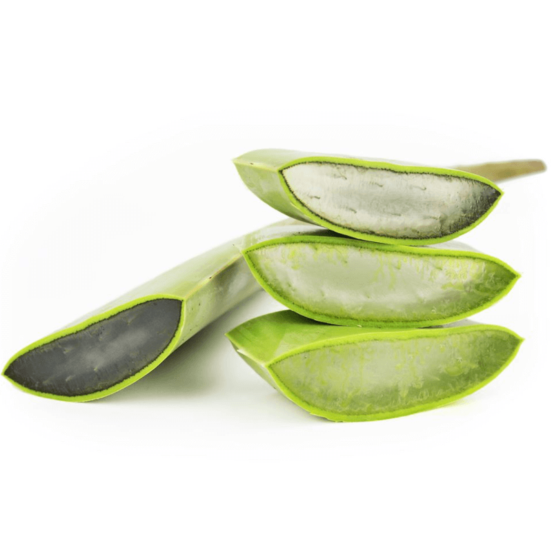 Großpackung (kg) - frische Aloe BIO (ca. 4 kg) Fő kép