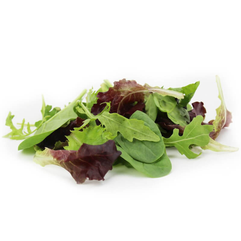 Frische, ungewaschene BIO-Salatmischung (ca. 100 g)