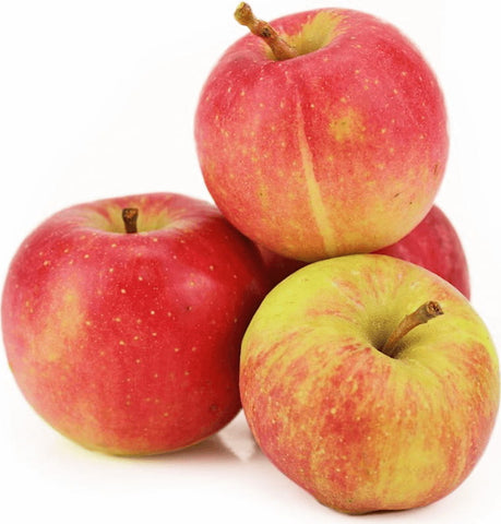 Großverpackung (kg) - frische Äpfel für BIO-Saft (ca. 5 kg)