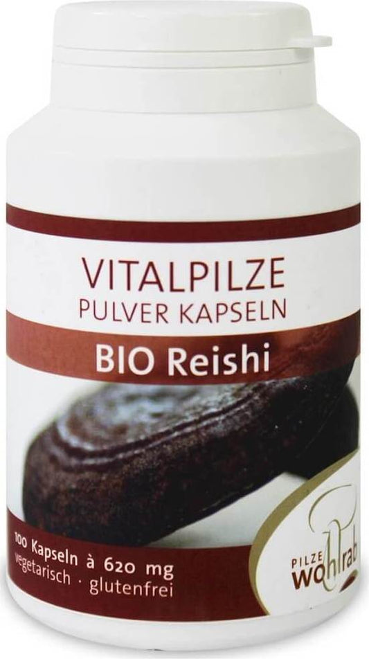 Reishi Pilze in glänzend polierter Ansicht, in einer Packung mit 100 BIO Kapseln, von PILZE WOHLRAB.