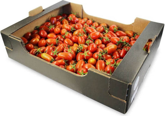 Große Packung frische BIO PLANET Datterino-Tomaten, ca. 3 kg, reif und saftig, ideal für Salate und Gerichte