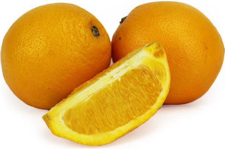 Frische Orangen BIO (ca. 250 kg)