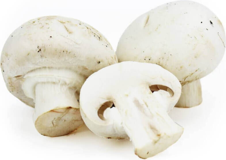 Frische weiße Champignons BIO (polnisch) (ca. 250g) मुख्य छवि