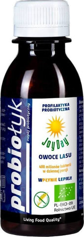 Probiotisches Waldfruchtgetränk BIO 125 ml - JOY DAY
