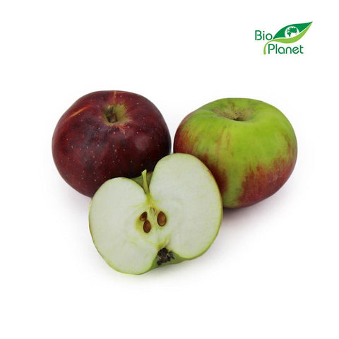 Großverpackung (kg) - frische Äpfel BIO (alwa - polnisch) (ca. 13 kg)