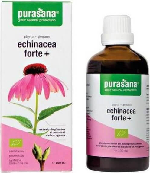 Echinacea FORTE (Sonnenhut) Tropfen BIO 50 ml - PURASANA