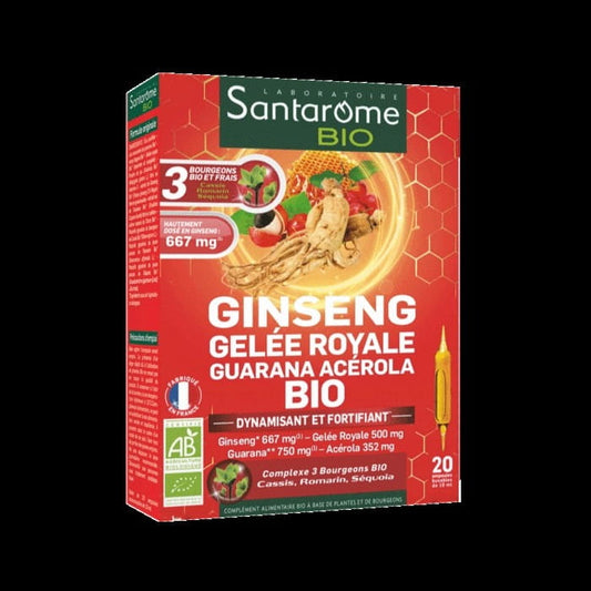 Biologische Gehirnleistungs-Boosterserie in 20 Ampullen à 10 ml, Unterstützung der geistigen Effizienz, von SANTAROME