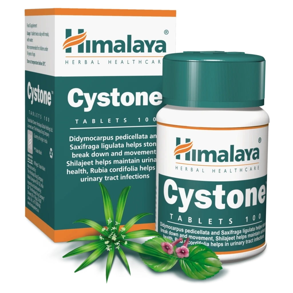 Cystone 100 Tabletten HIMALAYA Huvudsaklig produktbild
