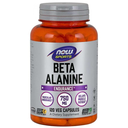 Carnosyn Beta Alanin 750 MG 120 Kapseln NOW FOODS