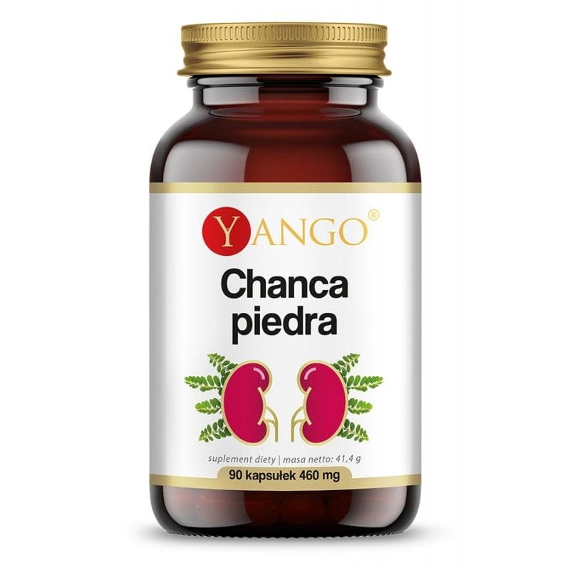 Chanca Piedra-Extrakt 370 MG 90 Kapseln YANGO
