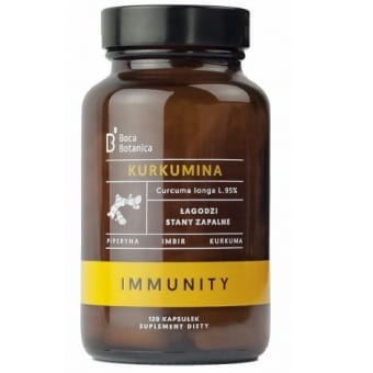 Curcumin 95 120 Kapseln BOCA BOTANICA Hauptbild