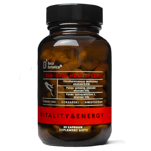 Ganzheitlicher Ginseng in 90 Kapseln von BOCA BOTANICA, natürliche Nahrungsergänzung für Energie und Vitalität.