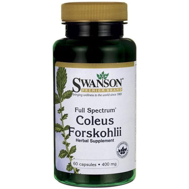 Indian Brennnessel Forskolin 400 mg Coleus Forskohli 60 Kapseln SWANSON